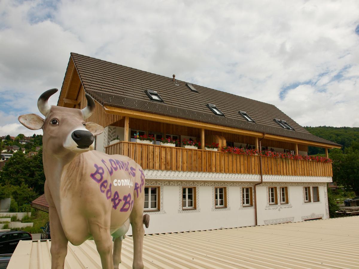 Conny'S B&B Niederweningen Zewnętrze zdjęcie