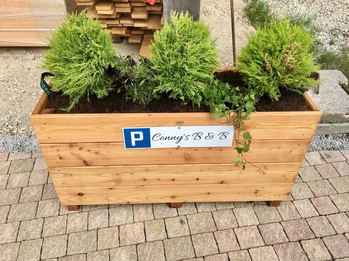 Conny'S B&B Niederweningen Zewnętrze zdjęcie