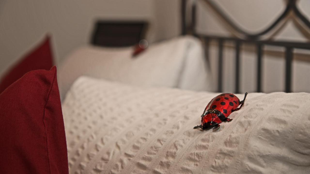 Conny'S B&B Niederweningen Zewnętrze zdjęcie